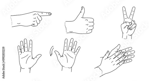 A set of hand gestures and signs.