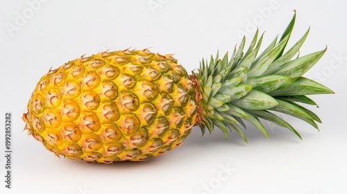 Whole Uncut Pineapple Isolated on White Background