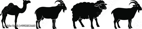 Camel and sheep animal silhouettes for Eid Al Adha Qurbani