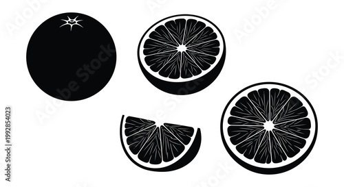 Four rice plant stalks displayed in a stark black silhouette