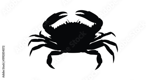 Black silhouettes of tomatoes in various stages a striking silhouette