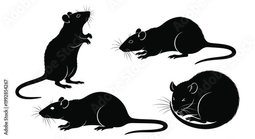 A detailed black silhouette of a crab with raised claws silhouette