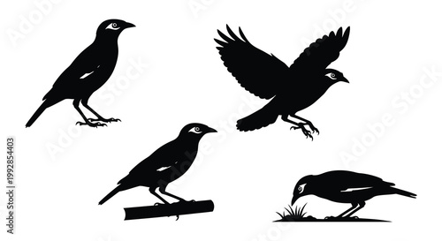 Two broccoli florets depicted in stark black silhouette