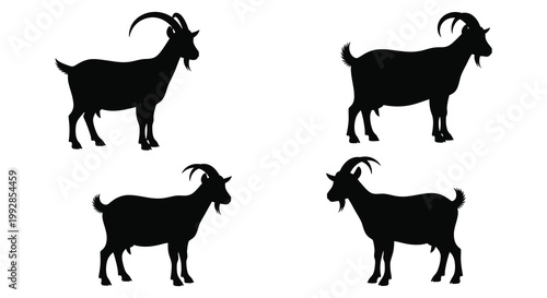 Four black rats depicted in various poses a striking silhouette