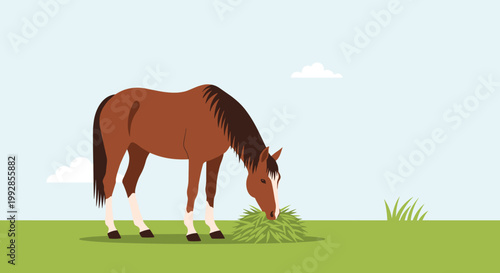 Peaceful brown horse grazes on green grass in an open field under a clear blue sky with soft white clouds in a nature landscape.