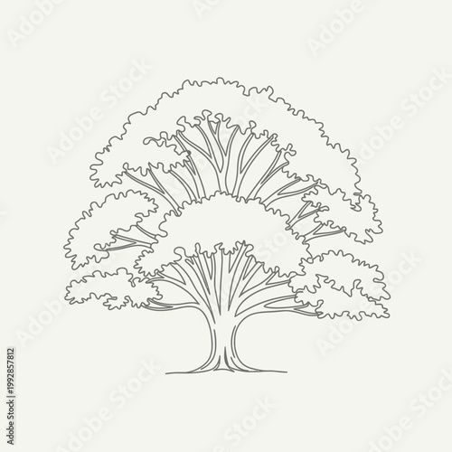 Stylized Outline of a Large, Mature Tree with Dense Foliage