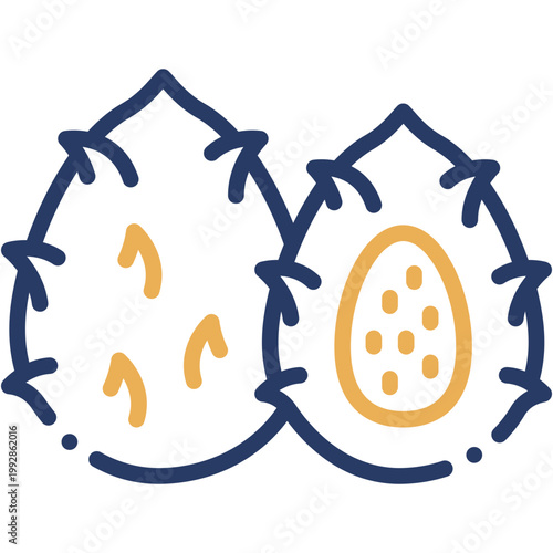 Pitahaya Fruit Vector Icon Tropical Dragon Fruit