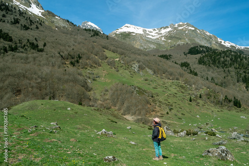 Person explores mountain meadow, snow peaks visible, clear blue sky