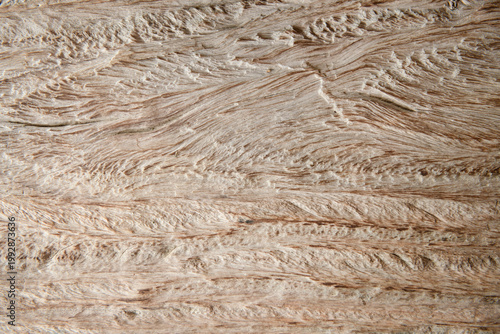 Texture antique oak furniture, with its rustic grain and retro design, showcases a natural wooden surface