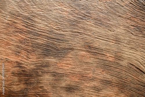 Texture antique oak furniture, with its rustic grain and retro design, showcases a natural wooden surface