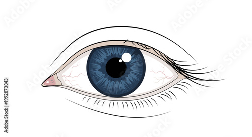 Vivid blue human eye illustration with detailed iris, blood vessels, and delicate eyelashes, isolated on white, symbolizing vision, perception, and anatomy.