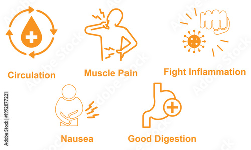 Modern healthcare icon set representing muscle pain, blood circulation, nausea, good digestion, and inflammation relief in a clean minimal vector style editable and scalable design.