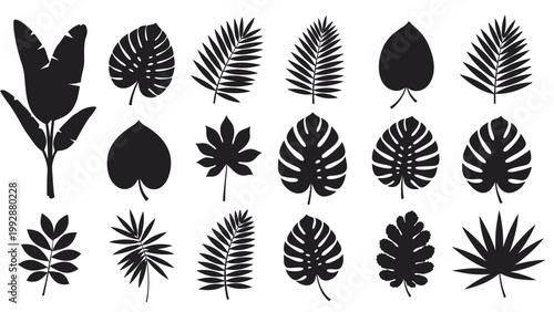 Set of diverse black tropical leaf silhouettes including monstera, palm, banana, and fern leaves on a clean white background.