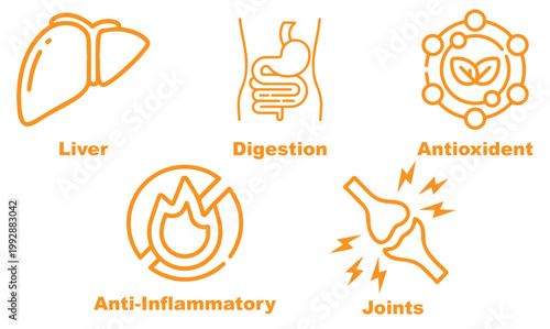 Tablou pe pânză Modern healthcare icon set representing joint health, digestion, inflammation control, antioxidant protection, and liver function in a clean minimal vector style editable and scalable design
