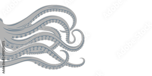 Tentacles of an octopus, Tentacles banner. Octopus tentacle sketch element. Decorative engraving sea animal parts vector poster, The tentacles on white background