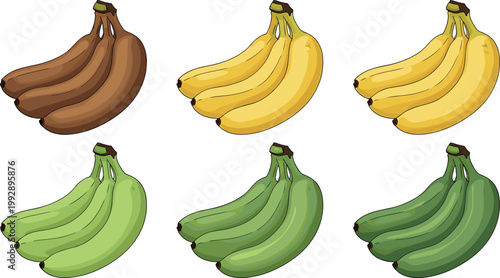 Fotografie Banana Bunch Collection in Multiple Colors Showing Ripeness Stages from Fresh Gr
