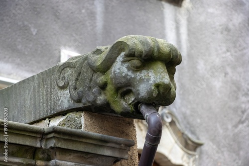 Old Sculpture Gdansk. Gargoyle on Mariacka Street Poland.