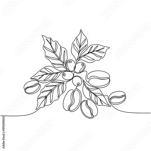 Minimalist Coffee Branch Line Art: Beans, Leaves, and Berries Illustration