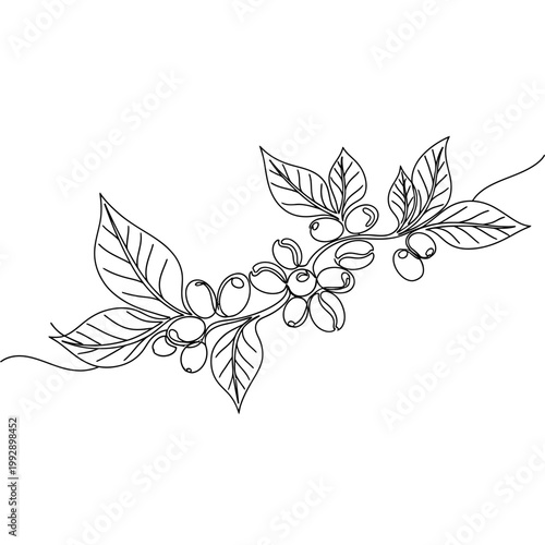 Minimalist Coffee Branch Line Art: Coffee Beans, Leaves, and Flowers