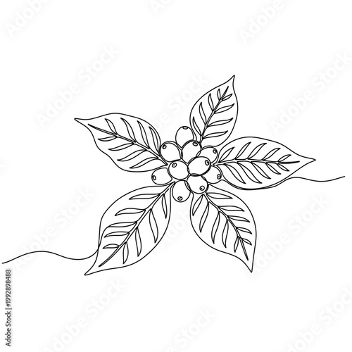 Minimalist Coffee Branch with Leaves and Berries Continuous Line Art