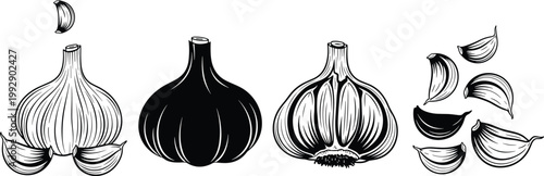 Hand-Drawn Garlic Bulbs and Cloves in Black and White Vector Illustration for Organic Food, Cooking Ingredients, and Healthy Eating Designs