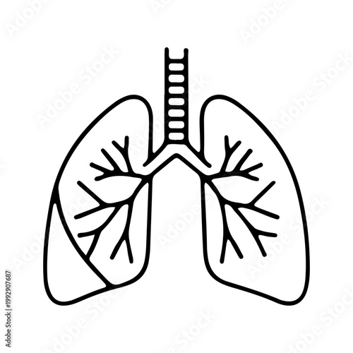 Human Respiratory System Lung Anatomy Outline Icon Illustration