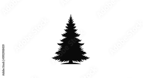 Silhouette of a tall dense evergreen pine tree with a distinct pyramidal shape and textured branches isolated on a clean white background representing nature and winter