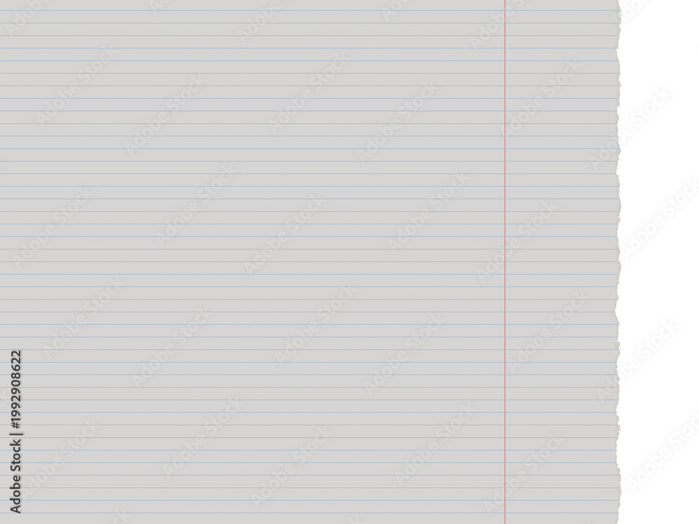 Naklejka premium Lined school paper with torn edge and red margin isolated on a transparent background 3d render