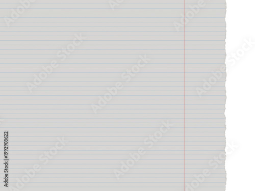 Lined school paper with torn edge and red margin isolated on a transparent background 3d render