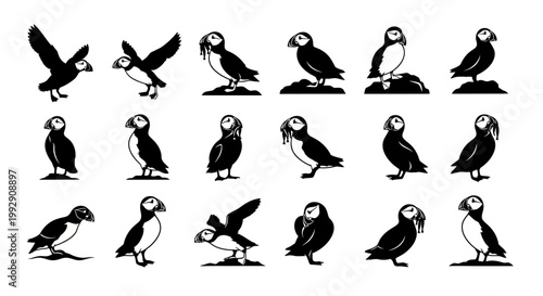 Collection of diverse black and white silhouette illustrations of puffins in various poses capturing their unique profiles and actions against a clean white backdrop ideal