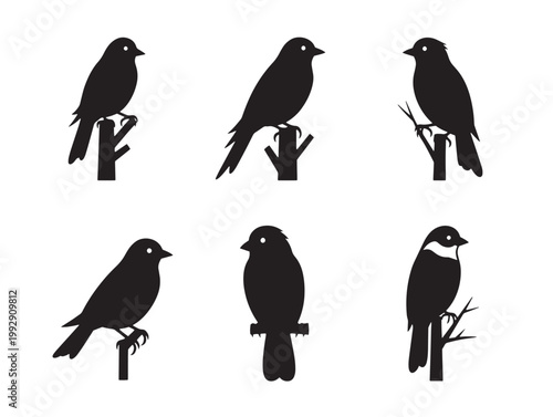 six black bird silhouettes perched on branches vector illustration