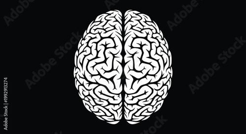 Human brain illustration isolated on black background, conceptual neuroscience anatomy, intelligence symbol, cognitive function, mind creativity, medical science design