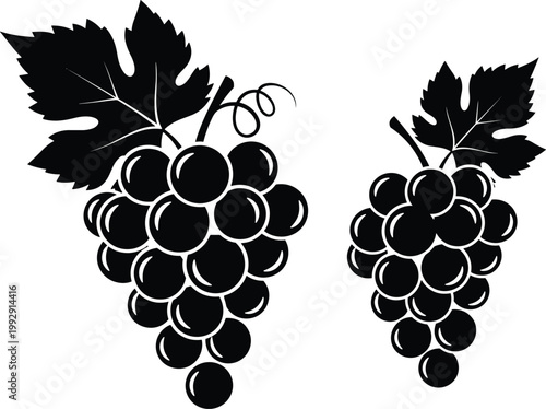 Set of grape silhouettes with leaves, fruit vector illustration for winery, agriculture, food, and organic design use