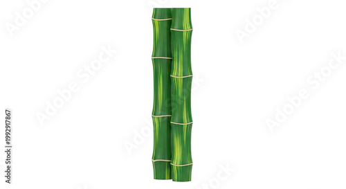 Two Green Bamboo Stalks