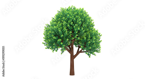 Stylized Green Tree with Brown Trunk and Branches