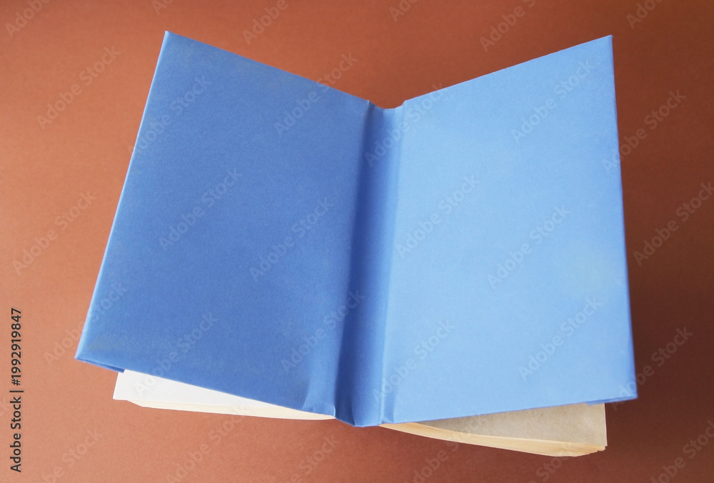 Fototapeta premium Concept, book in a blue paperback. Symbolism, book with a pearl, book like a sponge, book in a package.