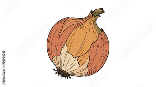 Onion Engraved Sketch Vintage Vegetable Food Vector Illustration