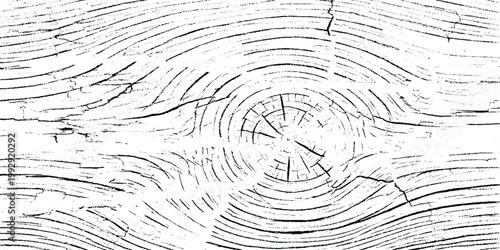 Black and white grunge vector illustration of a wooden plank with visible tree rings and cracks texture