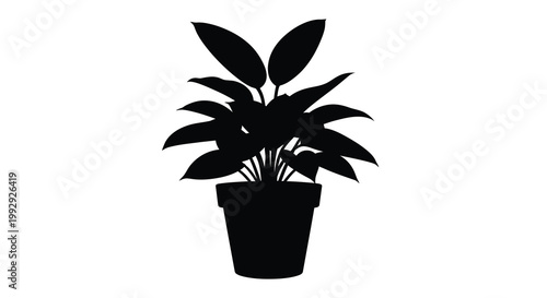 A black silhouette of a potted plant with large rounded leaves