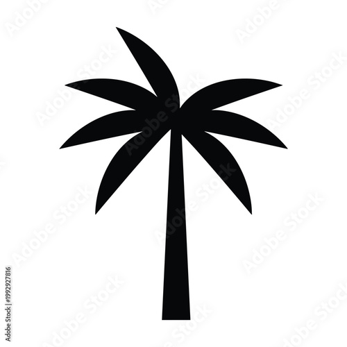 palm tree vector illustration