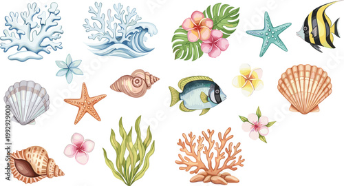Marine Tropical Ocean Element Collection Vector Illustration Featuring Coral Fish Seashell Starfish Waves and Sea Plants in Detailed Style