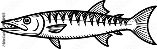 Detailed black and white illustration of a barracuda fish with sharp teeth and streamlined body in side profile
