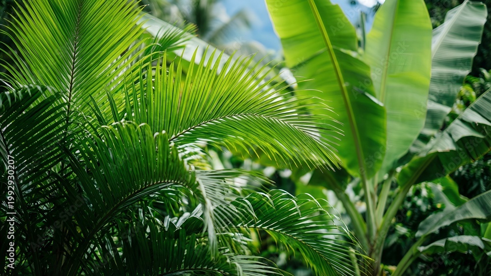 Obraz premium Tropical Palm Leaves Green Lush Foliage — Exotic Nature Background Wellness Design Template Element