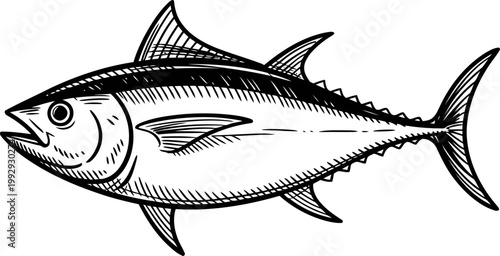 Detailed black and white illustration of a tuna fish with distinct fins, scales, and textured body features in side view