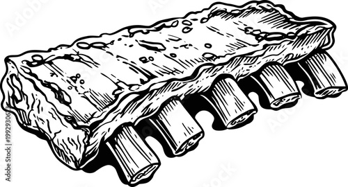 Illustration of a rack of ribs with textured meat and exposed bones, detailed black and white line drawing