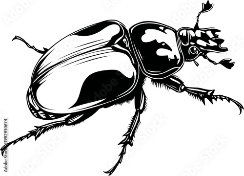 Detailed illustration of a rhinoceros beetle with prominent horns and segmented legs in black and white