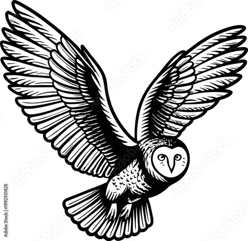 illustration of a flying owl with spread wings detailed black and white bird drawing, nocturnal wild animal, nature and freedom concept