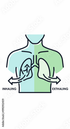 Human respiratory system vector illustration showing inhaling and exhaling air flow through lungs. Medical diagram for breathing process and lung function.