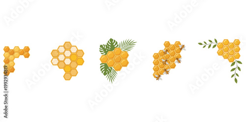 Honeycomb and Bee Vector Illustration Collection with Leaves