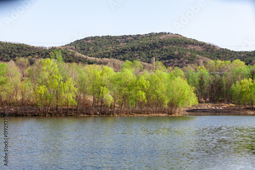 lake in the mountains